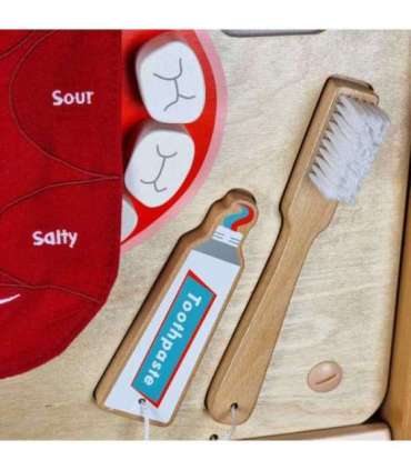 MASTERKIDZ suuhügieeni sensoorne seinapaneel Flex Montessori