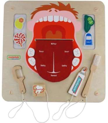 MASTERKIDZ suuhügieeni sensoorne seinapaneel Flex Montessori