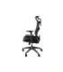 Genesis Ergonomic Chair Astat 200 Base material Nylon Castors material: Nylon with CareGlide coating Black