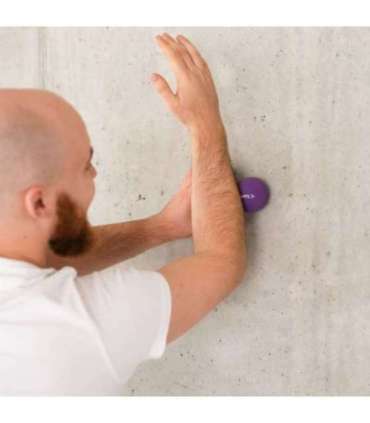 BLC02 фиолетовый массажный мяч HMS (двойной)