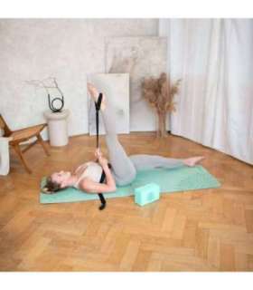 SJ02 joogarihm must HMS