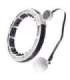 SET HULA HOOP MAGNETIC WHITE HHM16 WITH WEIGHT + COUNTER HMS + WAIST SUPPORT BR163 BLACK PLUZ SIZE