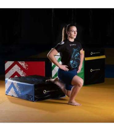 PYBS01 плиометрический набор мягких боксов, HMS Premium