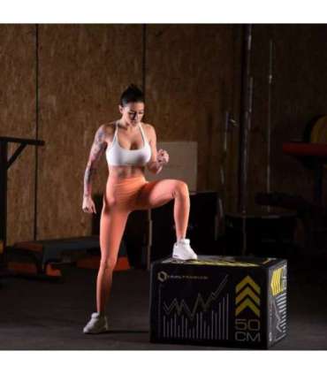 PYB01 PYLO софтбокс HMS премиум