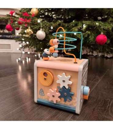 VIGA PolarB Activity Box puidust hariv 5-ühes mängukeskuse kuubik