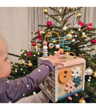 VIGA PolarB Activity Box puidust hariv 5-ühes mängukeskuse kuubik