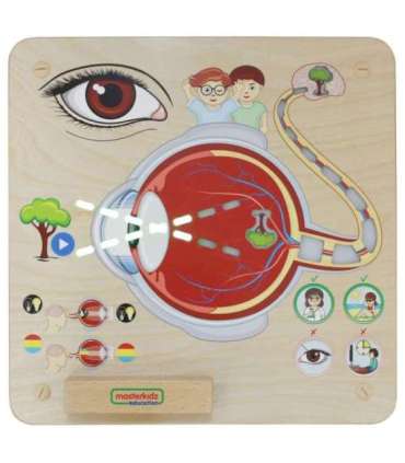 MASTERKIDZ Montessori õppeplaat — nägemismeel