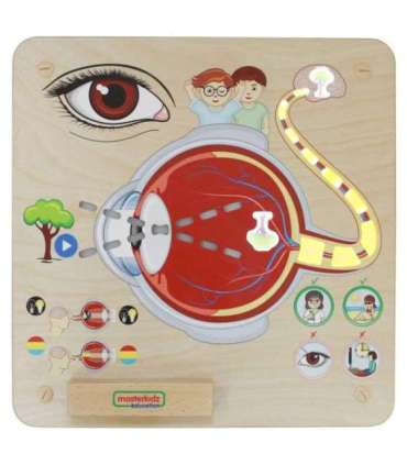 MASTERKIDZ Montessori õppeplaat — nägemismeel