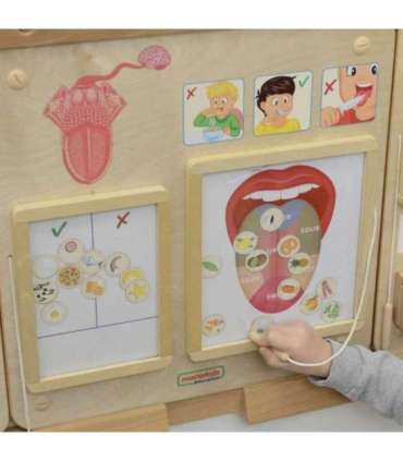 MASTERKIDZ Монтессори обучающая доска — чувство вкуса