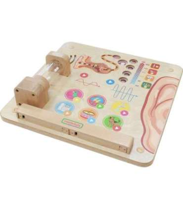 MASTERKIDZ Монтессори образовательная доска — слух