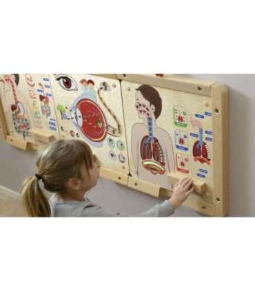 MASTERKIDZ Монтессори обучающая доска — дыхательная система