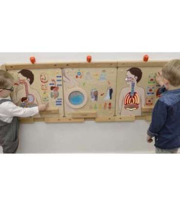 MASTERKIDZ Монтессори обучающая доска — дыхательная система
