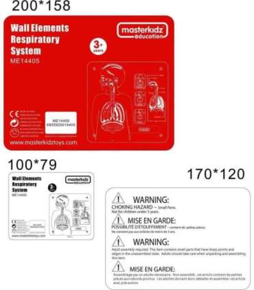 MASTERKIDZ Монтессори обучающая доска — дыхательная система