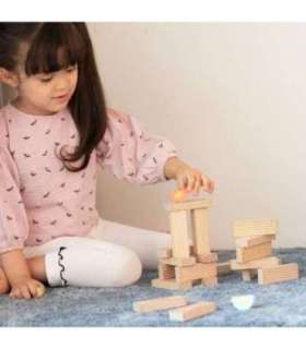 CLASSIC WORLD haridusmäng – lindude klotside kokkupanemine, 23 osa.