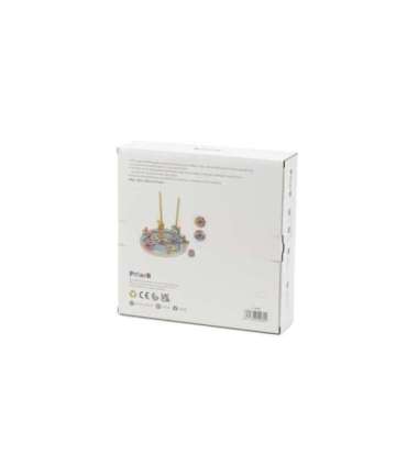 VIGA PolarB puidust kalapüügimäng