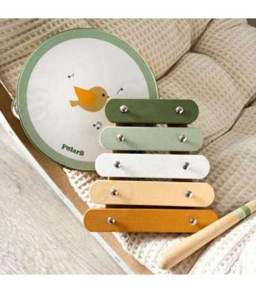 VIGA PolarB roheliste muusikariistade komplekt