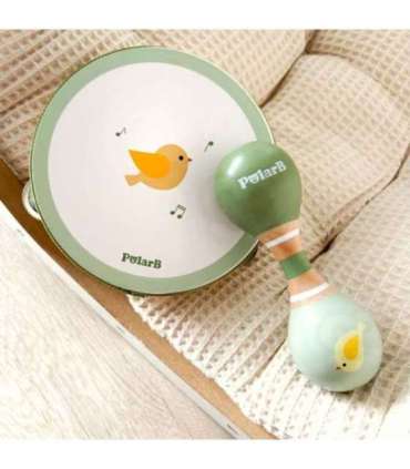 VIGA PolarB roheliste muusikariistade komplekt