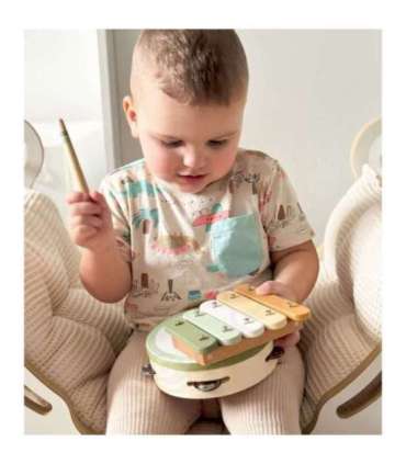 VIGA PolarB roheliste muusikariistade komplekt