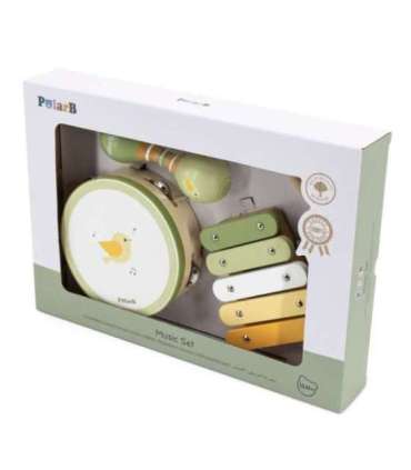 VIGA PolarB roheliste muusikariistade komplekt