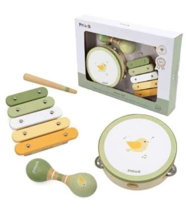 VIGA PolarB roheliste muusikariistade komplekt