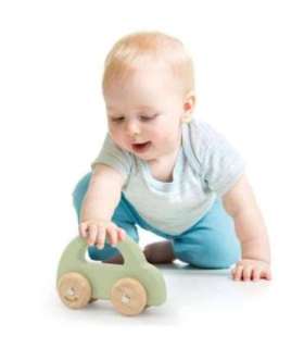 VIGA PolarB деревянная каталка-машинка, зеленая