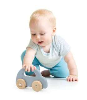 VIGA PolarB деревянная каталка для толкания, синяя