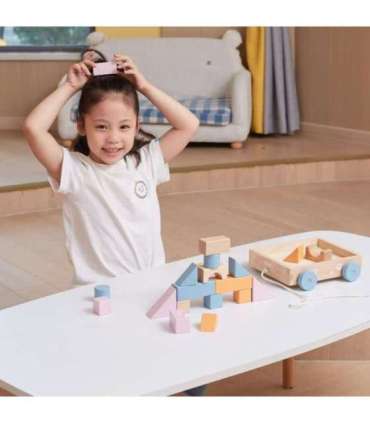 VIGA PolarB puidust tõmbevanker + 21-osaline klotsikomplekt