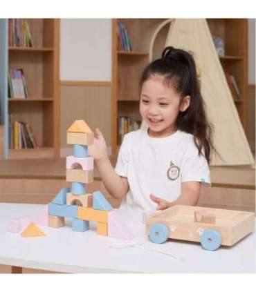 VIGA PolarB puidust tõmbevanker + 21-osaline klotsikomplekt