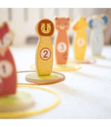 TOOKY TOY rõngaste viskamine, puidust osavusmäng, 15 tükki