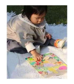 CLASSIC WORLD Puidust pusle: sobita taluloomi