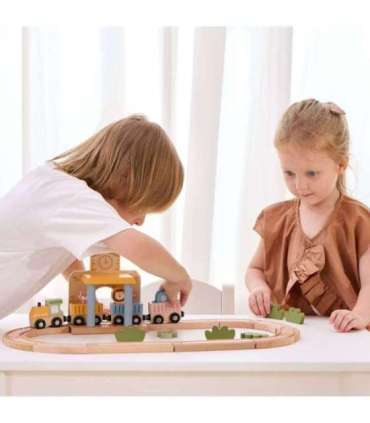 Viga PolarB puidust rongikomplekt, 30 osa.