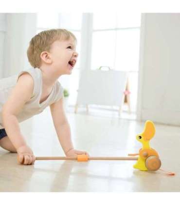 CLASSIC WORLD деревянная каталка-уточка для детей