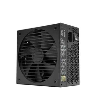 Fractal Design Fully modular PSU ION Gold 850W 850 W