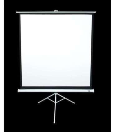 Elite Screens Tripod Series T113NWS1 Diagonal 113 " 1:1 Viewable screen width (W) 203 cm White