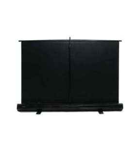 Elite Screens ezCinema Series F100NWH Diagonal 100 " 16:9 Viewable screen width (W) 221 cm Black