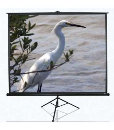 Elite Screens Tripod Series T100UWV1 Diagonal 100 " 4:3 Viewable screen width (W) 203 cm Black