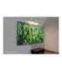 Elite Screens Projection Screen AR100WH2 Diagonal 100 " 16:9 Viewable screen width (W) 221.74 cm