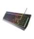 Genesis Rhod 300 RGB Black Gaming keyboard Wired RGB LED light US 1.75 m