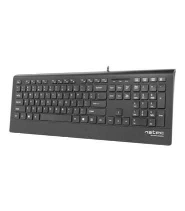 Natec Keyboard, Barracuda, US Layout, Slim Natec Keyboard Barracuda Standard Wired US Black 529 g