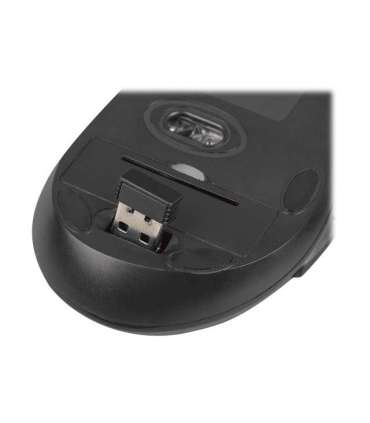 Natec Keyboard and Mouse Stringray 2in1 Bundle Keyboard and Mouse Set Wireless Batteries included US Black