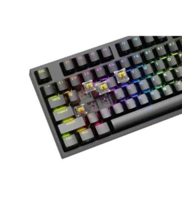 Genesis Mechanical Gaming Keyboard THOR 404 TKL RGB Black Mechanical Gaming Keyboard Wired US USB Type-A |