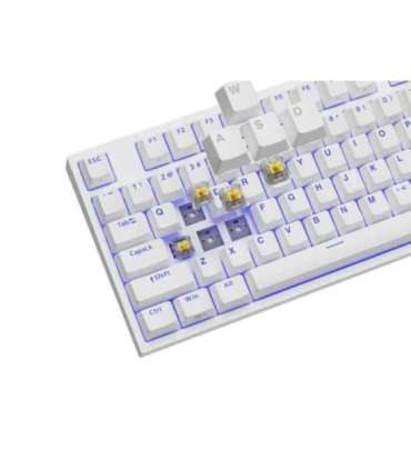 Genesis Mechanical Gaming Keyboard THOR 404 TKL RGB White Mechanical Gaming Keyboard Wired US USB Type-A |