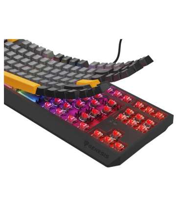 Genesis THOR 230 Mechanical Gaming Keyboard Wired US Anchor Gray Negative USB Type-A Outemu Red