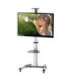 Techly Floor Support Trolley for LCD / LED / Plasma 37-70 with Shelf " ICA-TR15