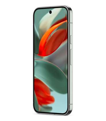 Google Pixel 9 Pro XL 17,3 cm (6.8") Dual SIM Android 14 5G USB Type-C 16 GB 128 GB 5060 mAh Green