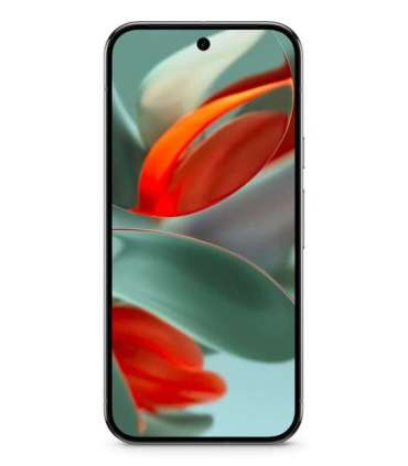 Google Pixel 9 Pro XL 17,3 cm (6.8") Dual SIM Android 14 5G USB Type-C 16 GB 128 GB 5060 mAh Green