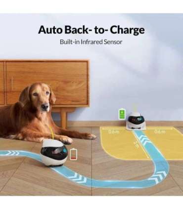 ENABOT Ebo Air AI Robot White and Black