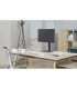 Gembird MS-D1ST-02 Height adjustable full-motion monitor desk stand, 17"-32", black