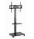 Gembird TVS-75S-02 TV floor stand with caster wheels, 37" - 75", black