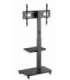Gembird TVS-75S-02 TV floor stand with caster wheels, 37" - 75", black